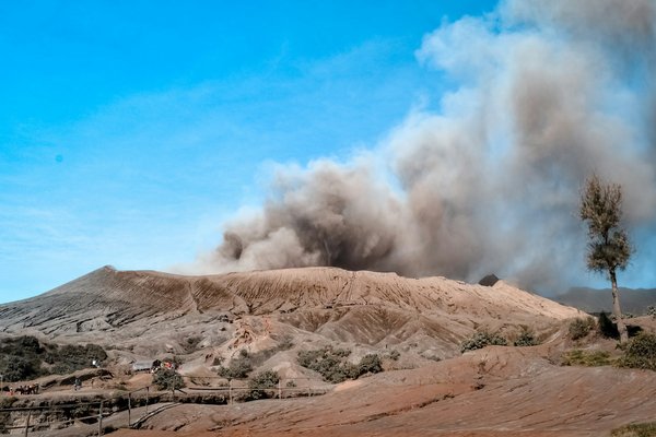 Quels sont les meilleurs itinéraires pour découvrir les paysages volcaniques de l'île de La Réunion?